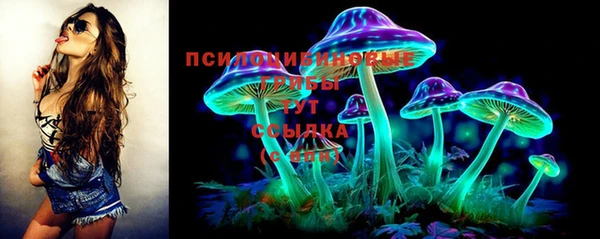 прущий лед Михайловск